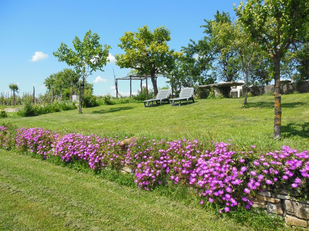 Agriturismo Affittacamere Barbarossa โดลญานี ภายนอก รูปภาพ