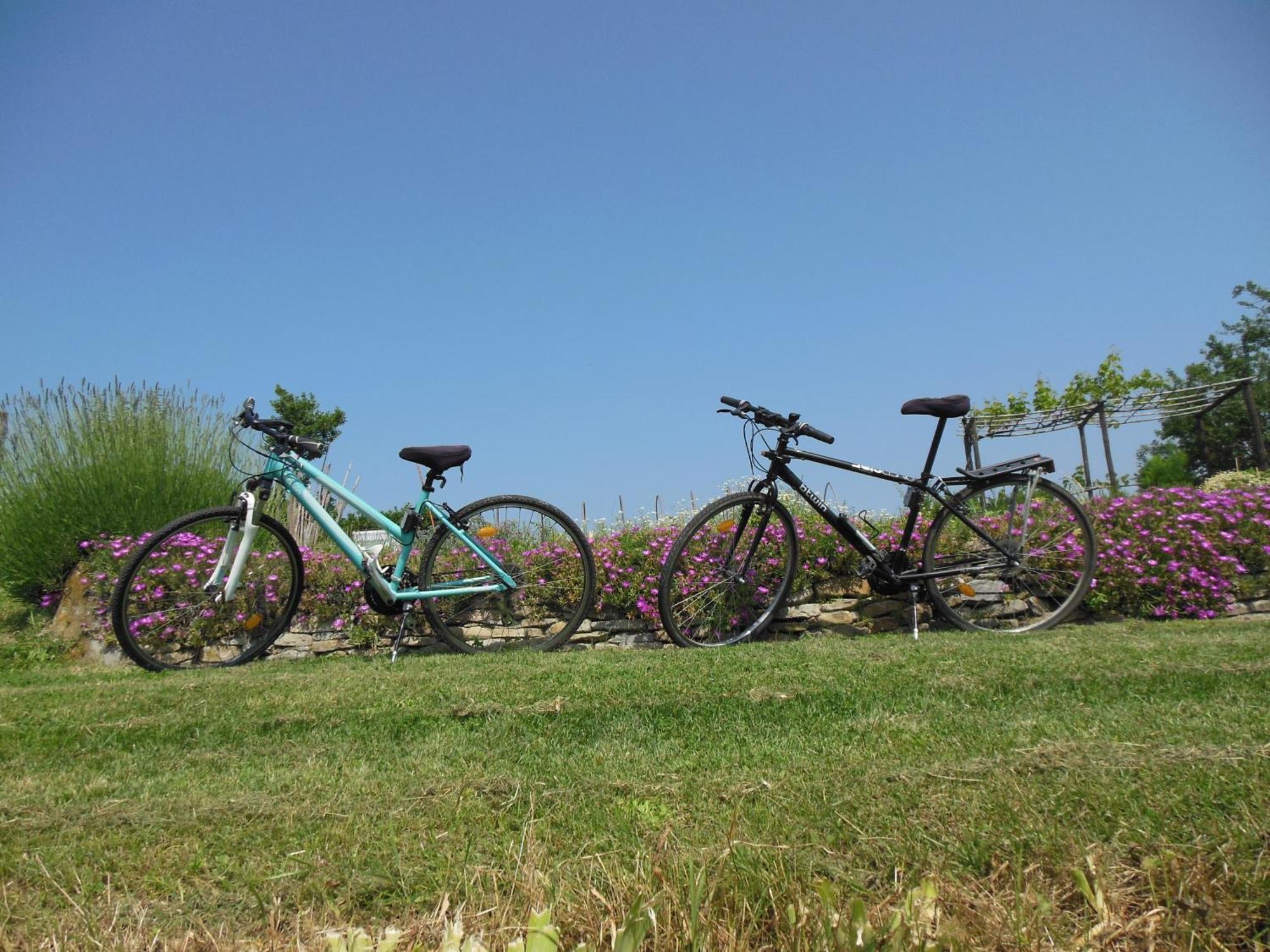 Agriturismo Affittacamere Barbarossa โดลญานี ภายนอก รูปภาพ