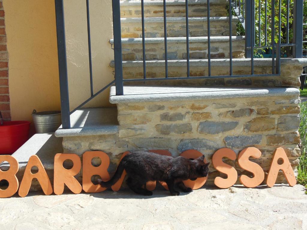 Agriturismo Affittacamere Barbarossa โดลญานี ภายนอก รูปภาพ