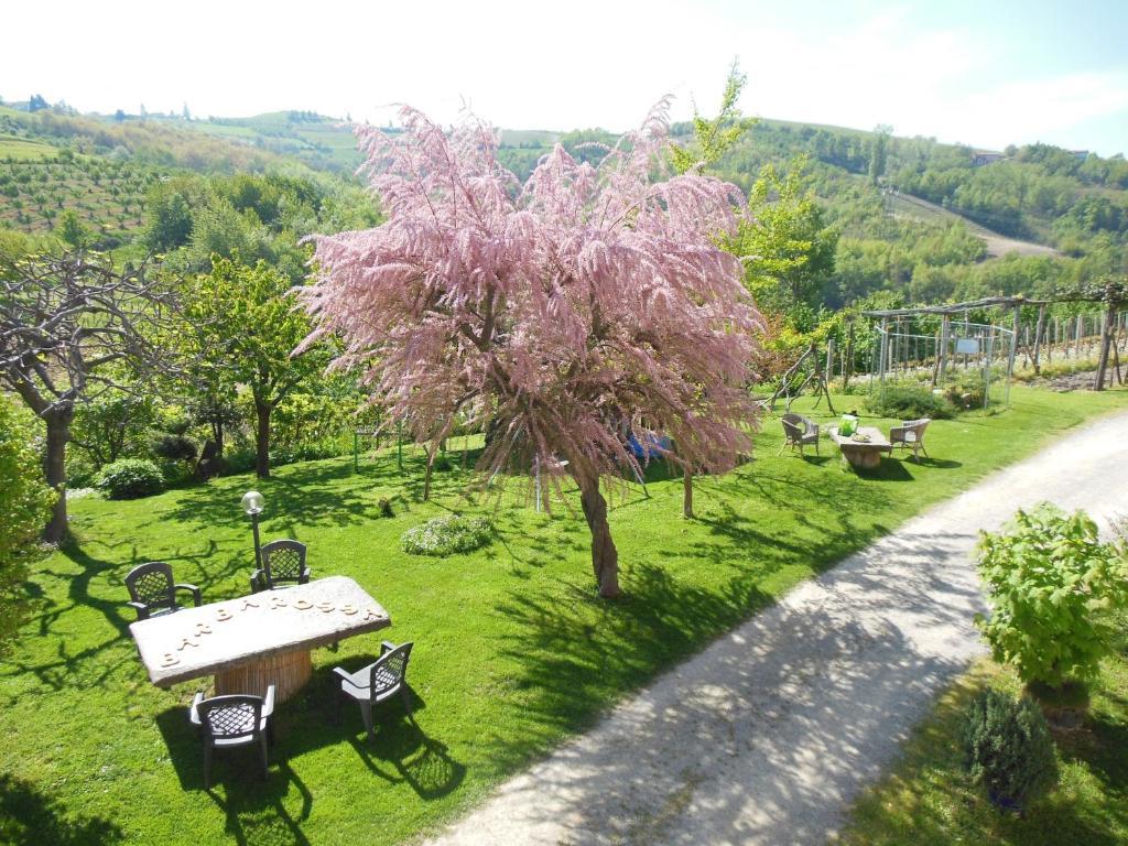 Agriturismo Affittacamere Barbarossa โดลญานี ภายนอก รูปภาพ