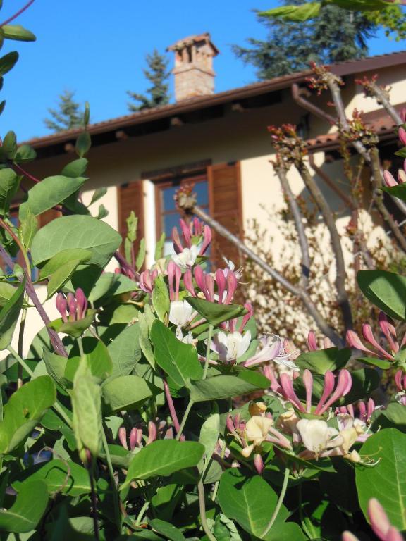 Agriturismo Affittacamere Barbarossa โดลญานี ภายนอก รูปภาพ