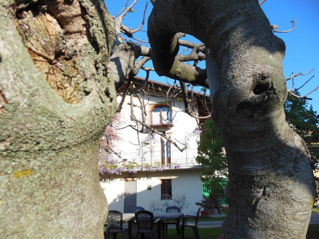 Agriturismo Affittacamere Barbarossa โดลญานี ภายนอก รูปภาพ