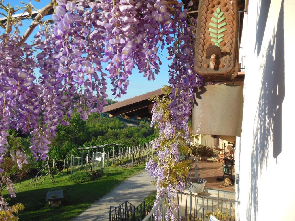 Agriturismo Affittacamere Barbarossa โดลญานี ภายนอก รูปภาพ